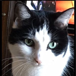 Meet your Posher, Sandra